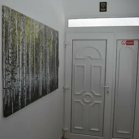 Centrum * רייקה טפליצה